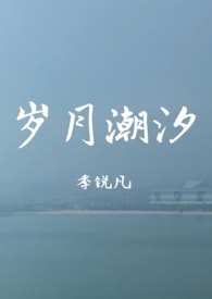 岁月潮汐小说