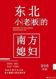 东北小老板的南方媳妇有几万字